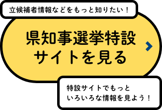 県知事選挙特設サイトを見る