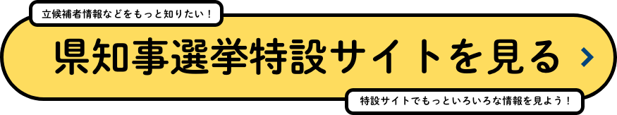 県知事選挙特設サイトを見る